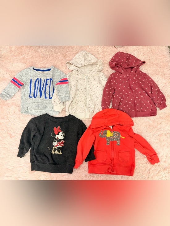 Other - Sweatshirt bundle